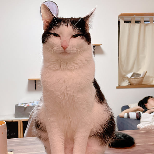 harukaさんの実例写真