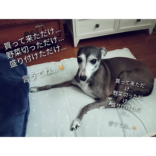 moruさんの部屋