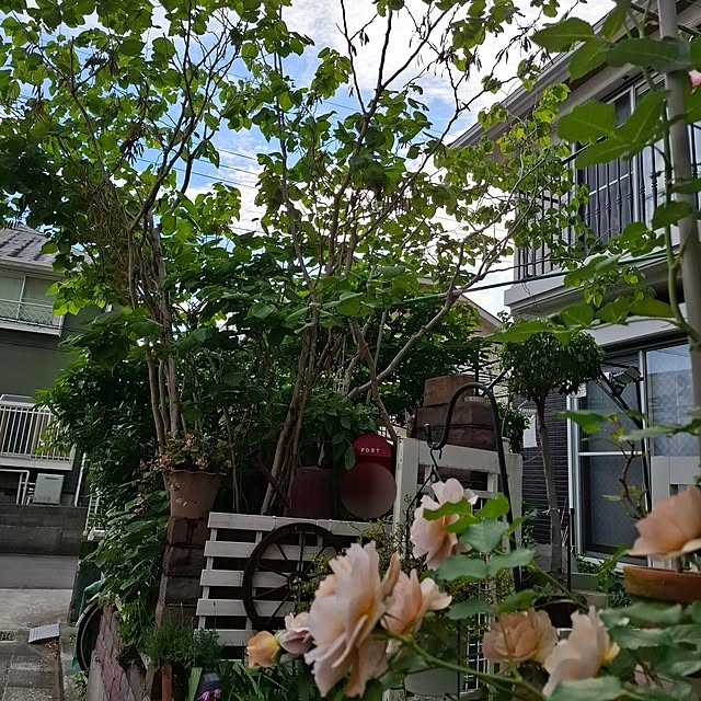 midoriさんの部屋