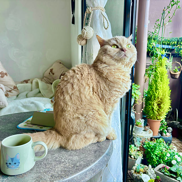 naokoさんの部屋