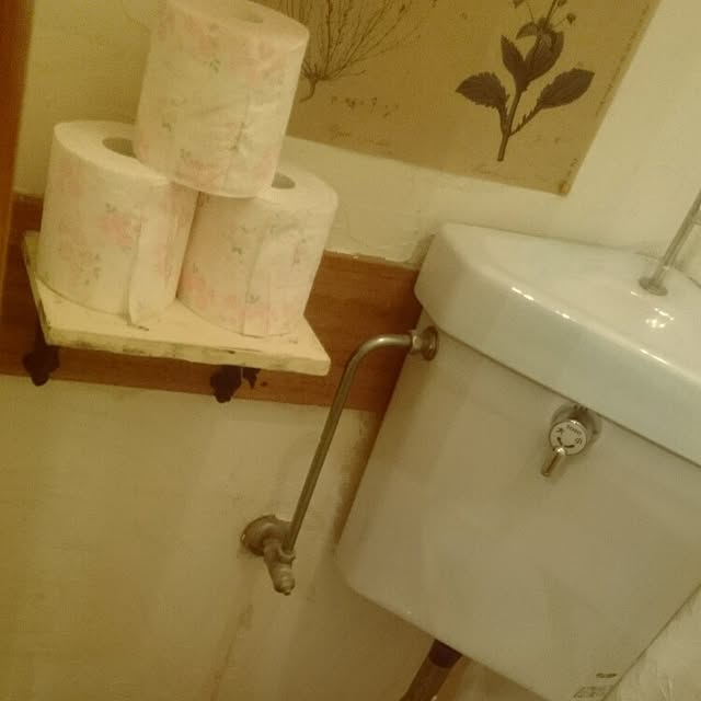 misakiさんの実例写真