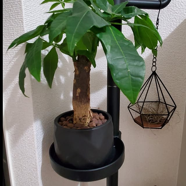 Riokaさんの部屋
