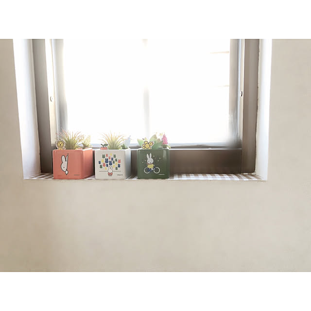 erityさんの実例写真