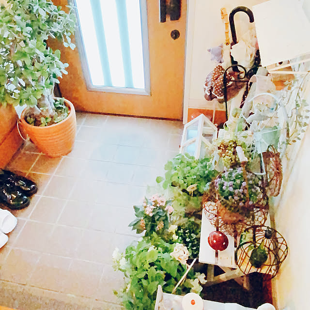 moolさんの部屋