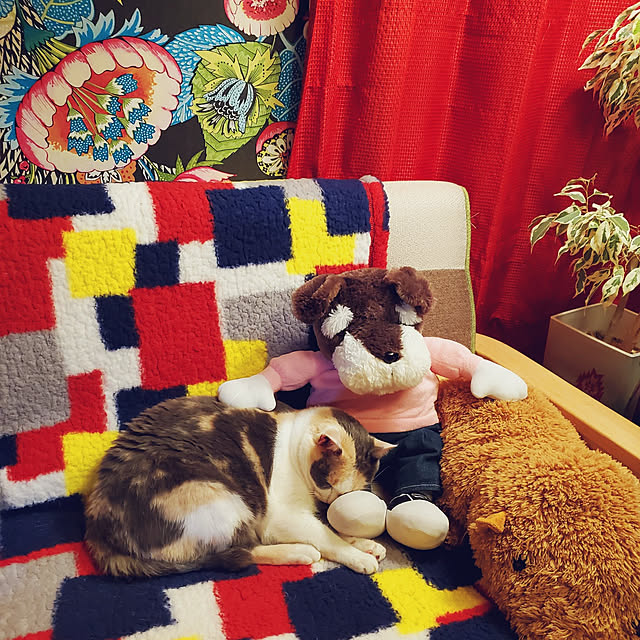 kumutanさんの実例写真