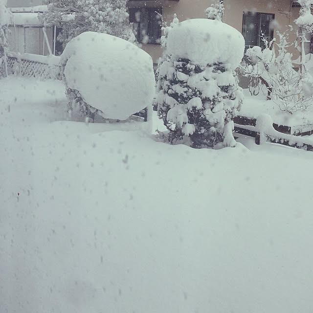 Kinanさんの実例写真