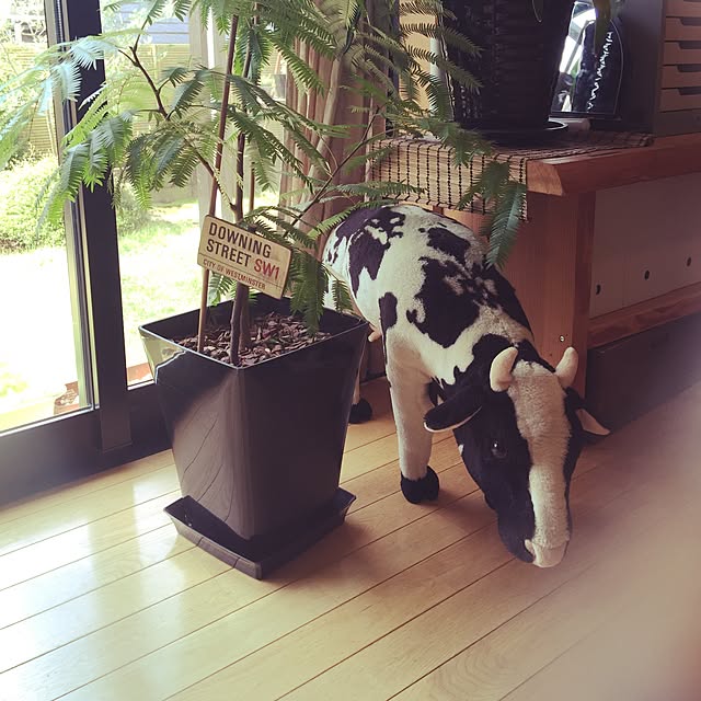 tacaeさんの実例写真
