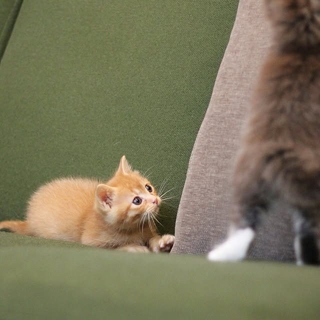 Hisashiさんの実例写真