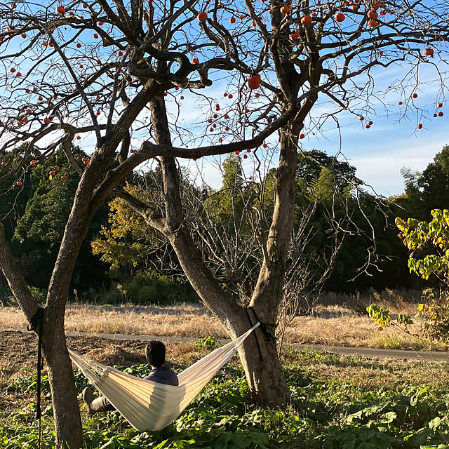 Takenoyaさんの実例写真