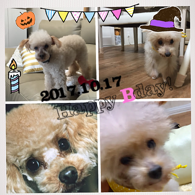 Naomiさんの実例写真