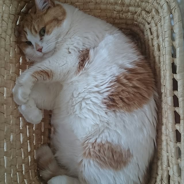Aiさんの実例写真