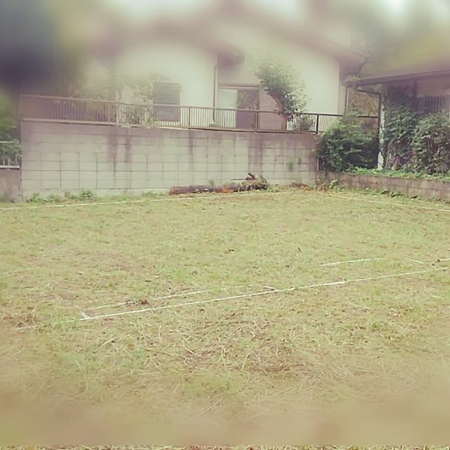 ko-nakaさんの実例写真