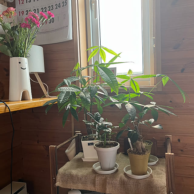 mogumoguさんの実例写真