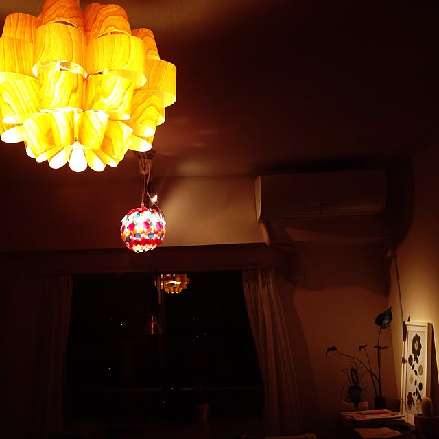 壁/天井/照明/観葉植物のインテリア実例 - 2015-03-12 00:23:19