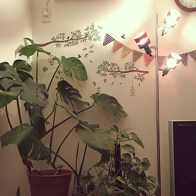 Mikiさんの実例写真