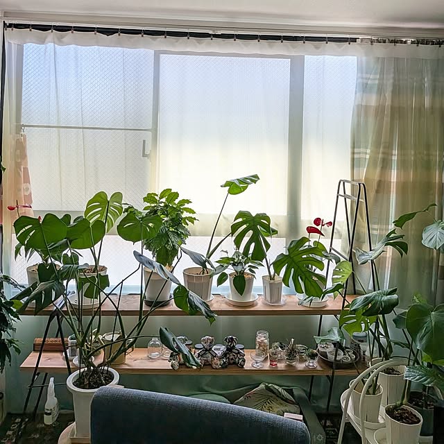 kolo92さんの部屋
