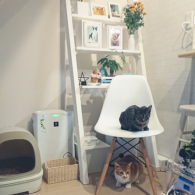 taka-kiさんの実例写真