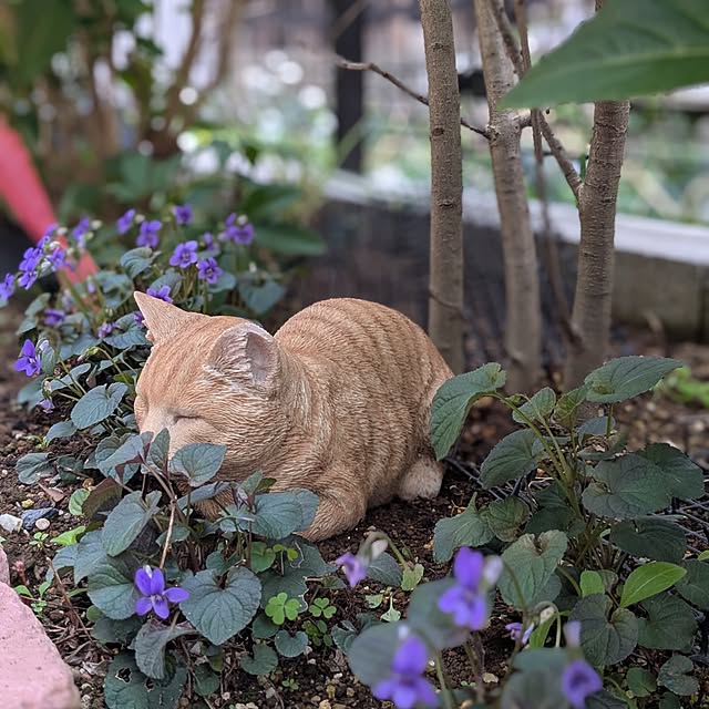 reeさんの実例写真