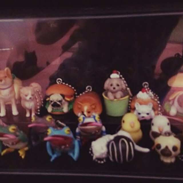 minochanさんの実例写真