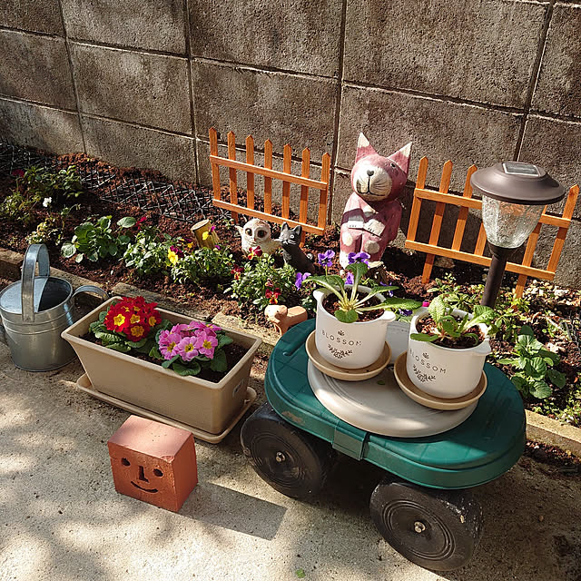 fukuさんの実例写真