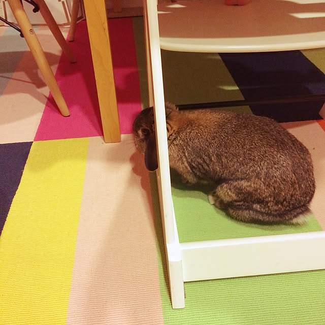 Arataさんの実例写真