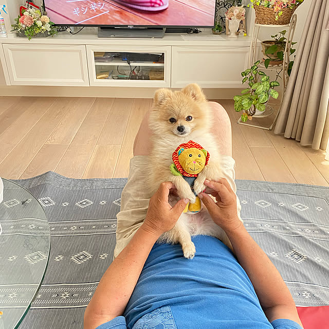 MAKARONさんの実例写真