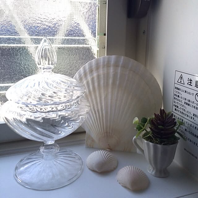 belleさんの実例写真