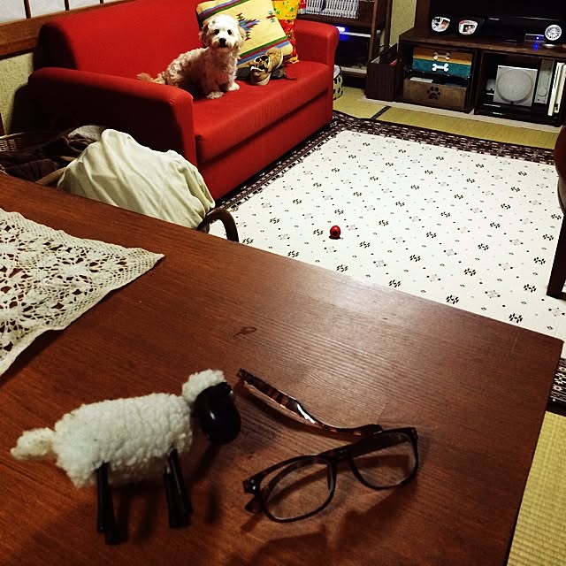 ichichiさんの実例写真