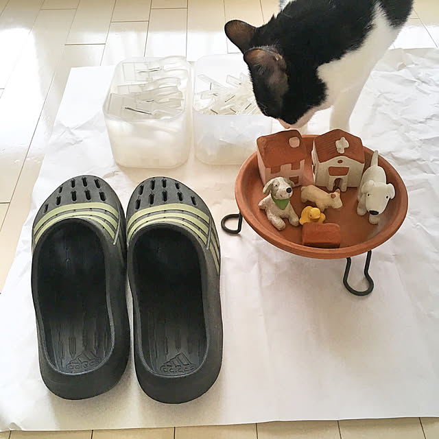 bikkeさんの実例写真