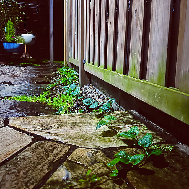 chacoさんの部屋