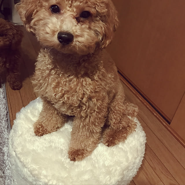 Karinさんの実例写真