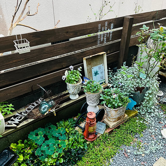 mayumiさんの部屋