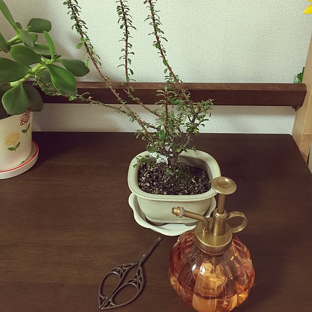 ayasroomさんの実例写真