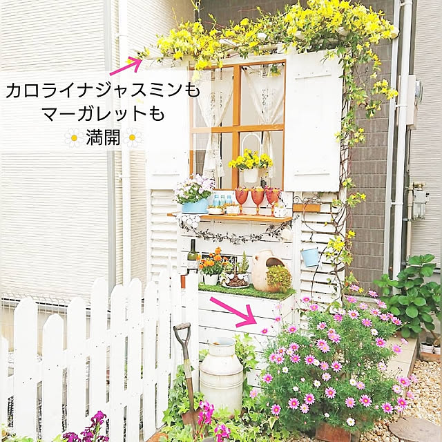rumiさんの実例写真