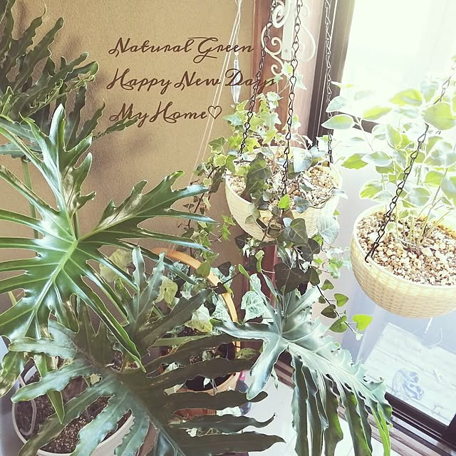 637さんの実例写真