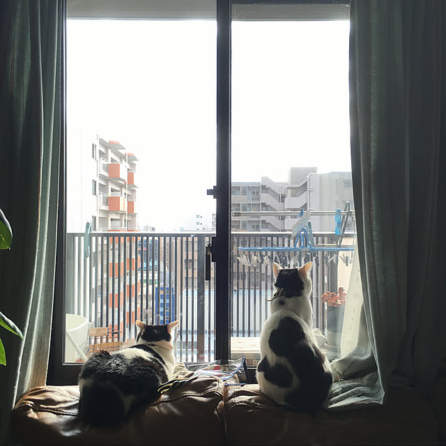 hanaさんの実例写真