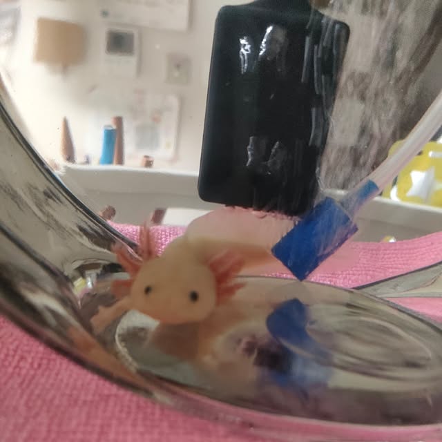 momomamaさんの実例写真