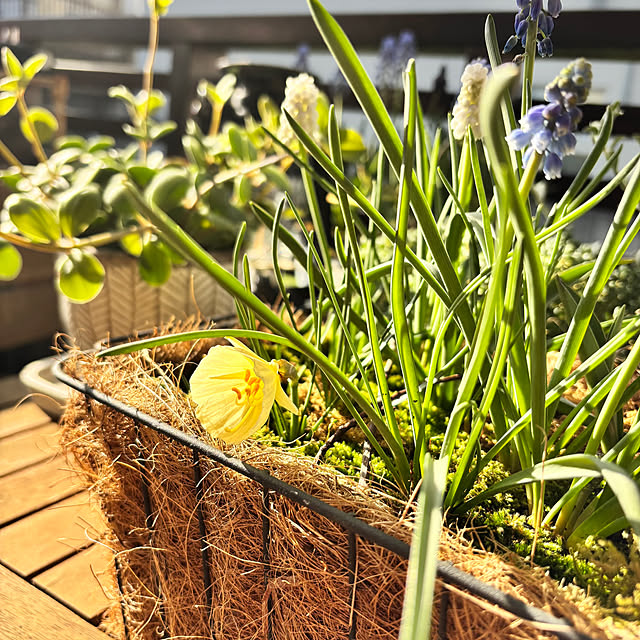 kyoko1124koさんの部屋