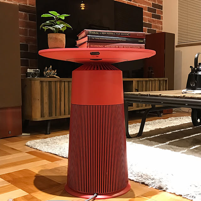 japitonさんの実例写真