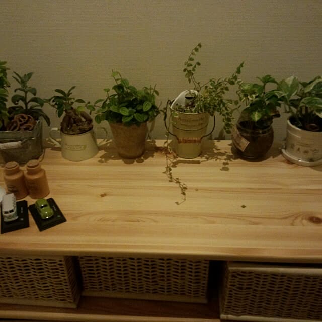 asa.haruaoさんの部屋