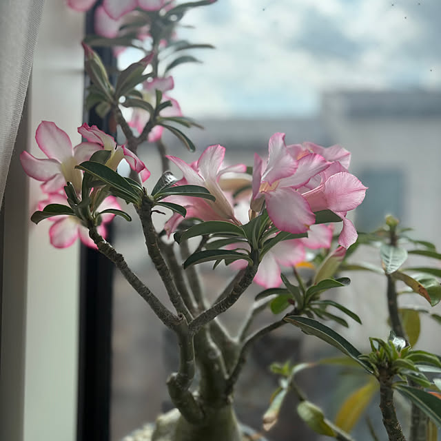 otanuさんの部屋