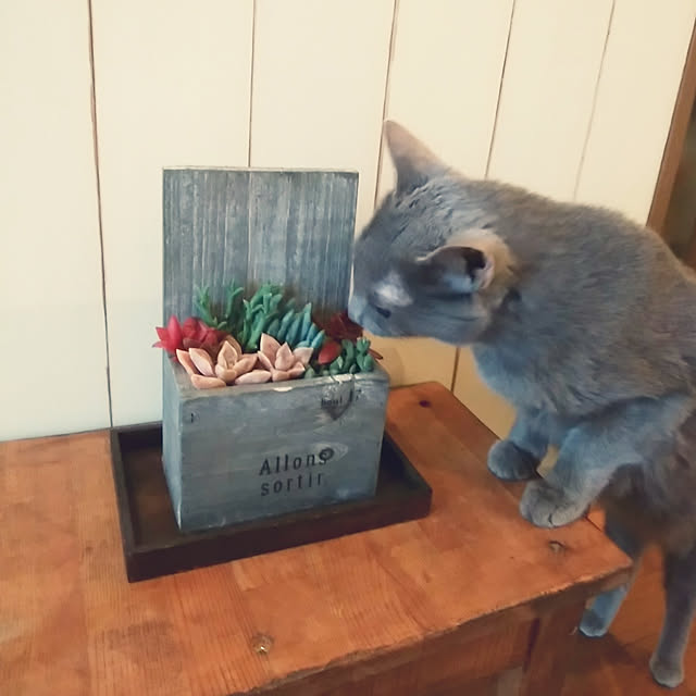tomo1220さんの実例写真