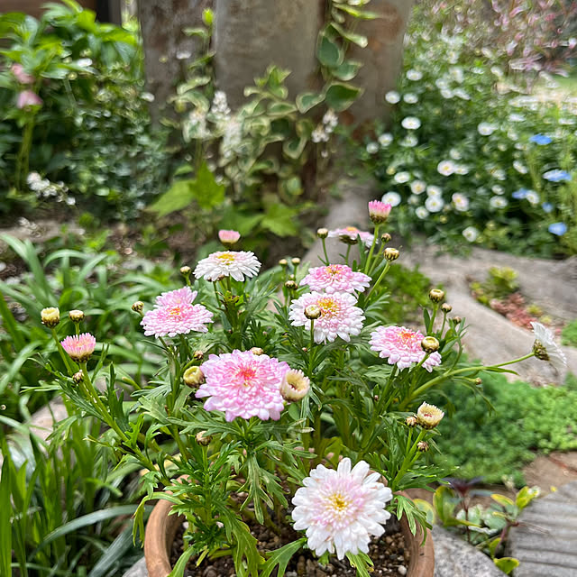 kuuさんの部屋