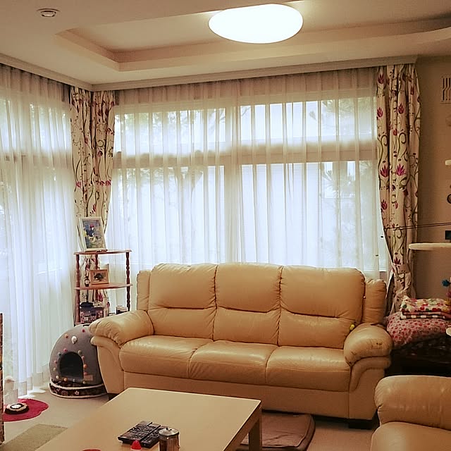 simaumaさんの実例写真