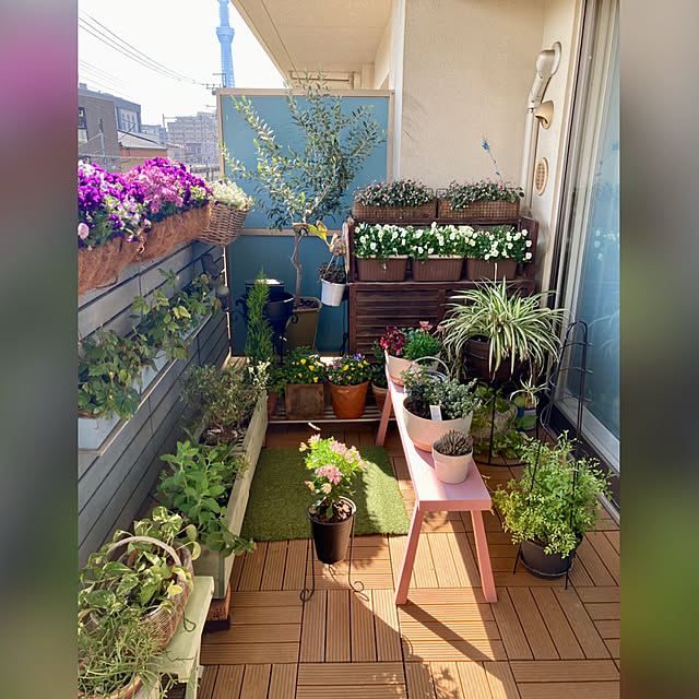 marukoさんの部屋