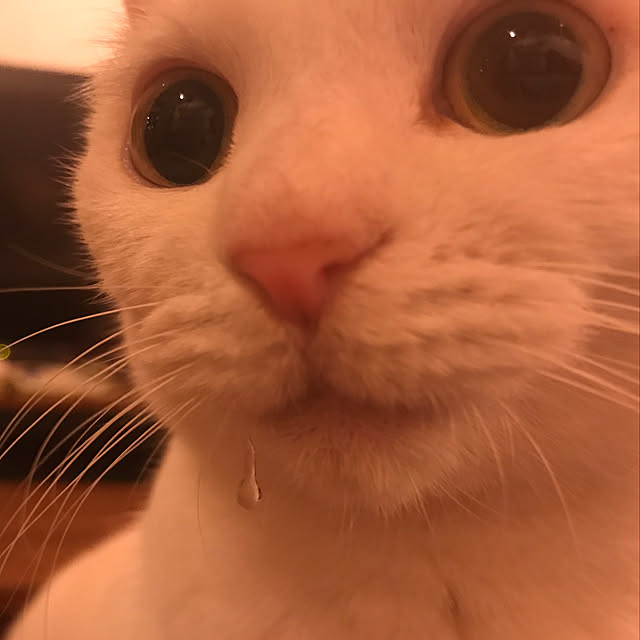 sakurasakuさんの実例写真