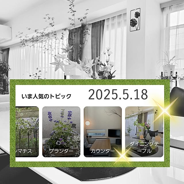 実例写真