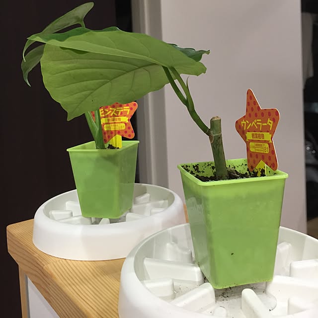 mo.ka.chuさんの実例写真
