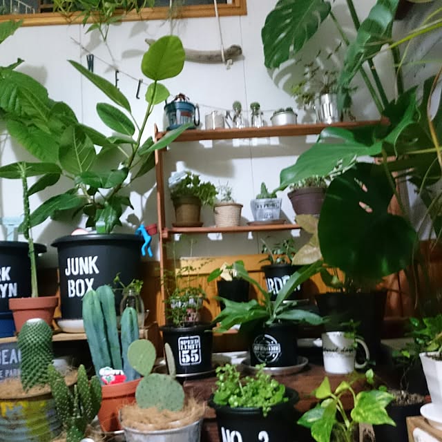 tikuwaさんの実例写真