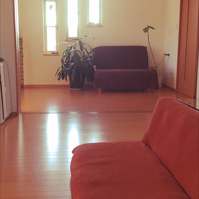 miffyelicoさんの実例写真